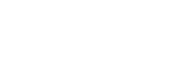 REBORN