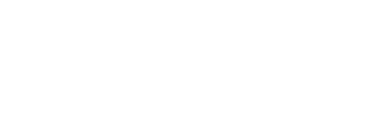 REBORN